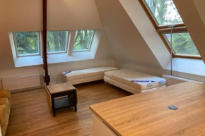 Lumineux appartement au milieu des arbres